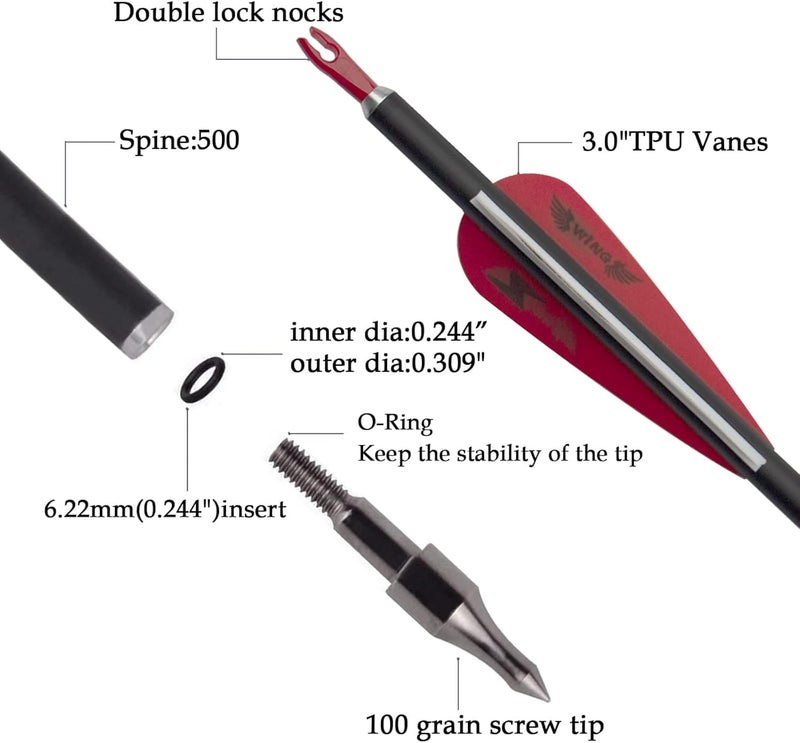 e5e10 31inch Carbon Arrow Archery Targeting Practice Hunting Arrows for Compound & Recurve Bow with Removable Tips(Pack of 12) - Image 2